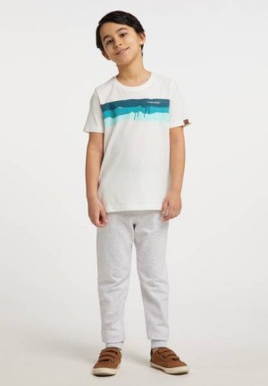 Camiseta Ragwear Haky Organic Niño Blancas | R-9152470