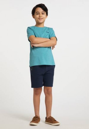 Pantalones Ragwear Frenkie Niño Verde Claro | R-8417960